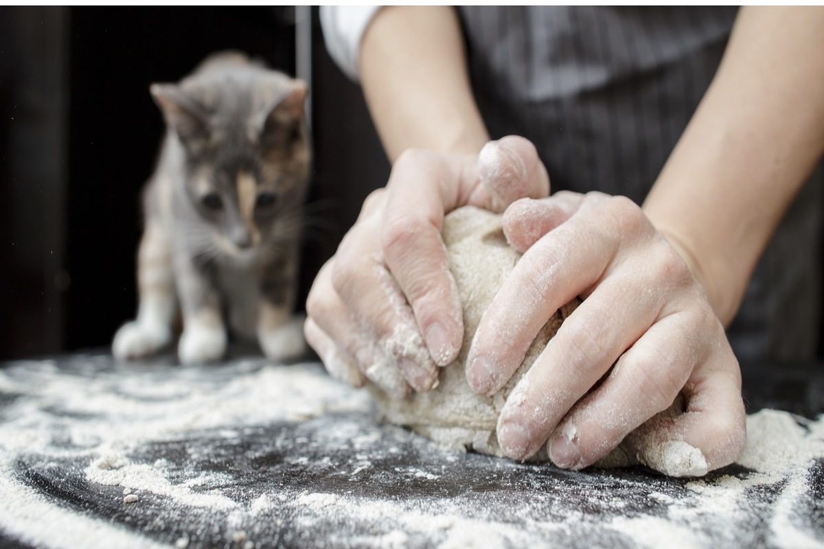 本物のものづくりへ アイキャッチ